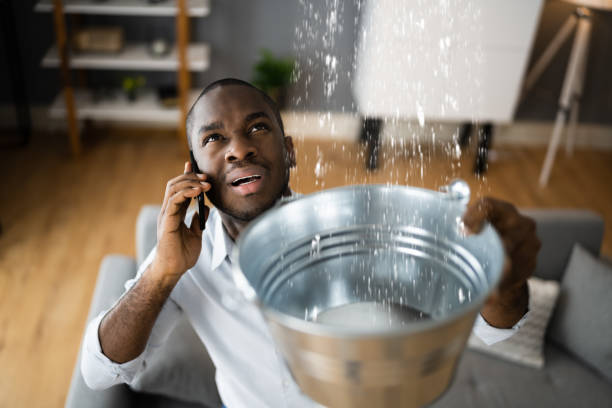 Best Sewage cleanup and water damage restoration  in Baraga, MI