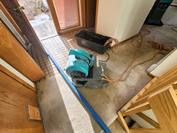 Best Fire Damage Restoration  in Baraga, MI