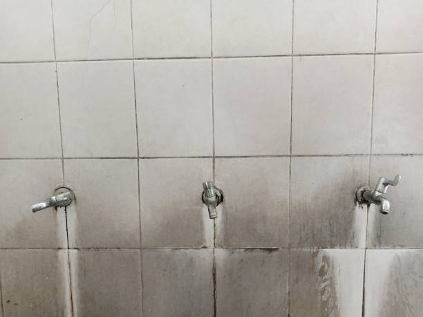 Best Water damage restoration near me  in Baraga, MI