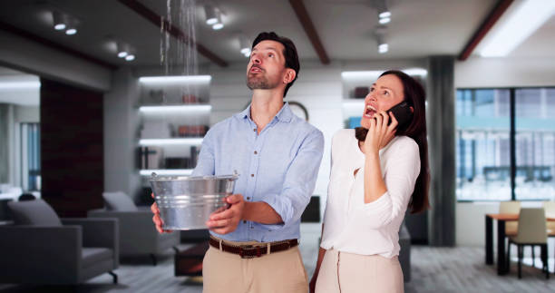 Best Basement water damage restoration  in Baraga, MI